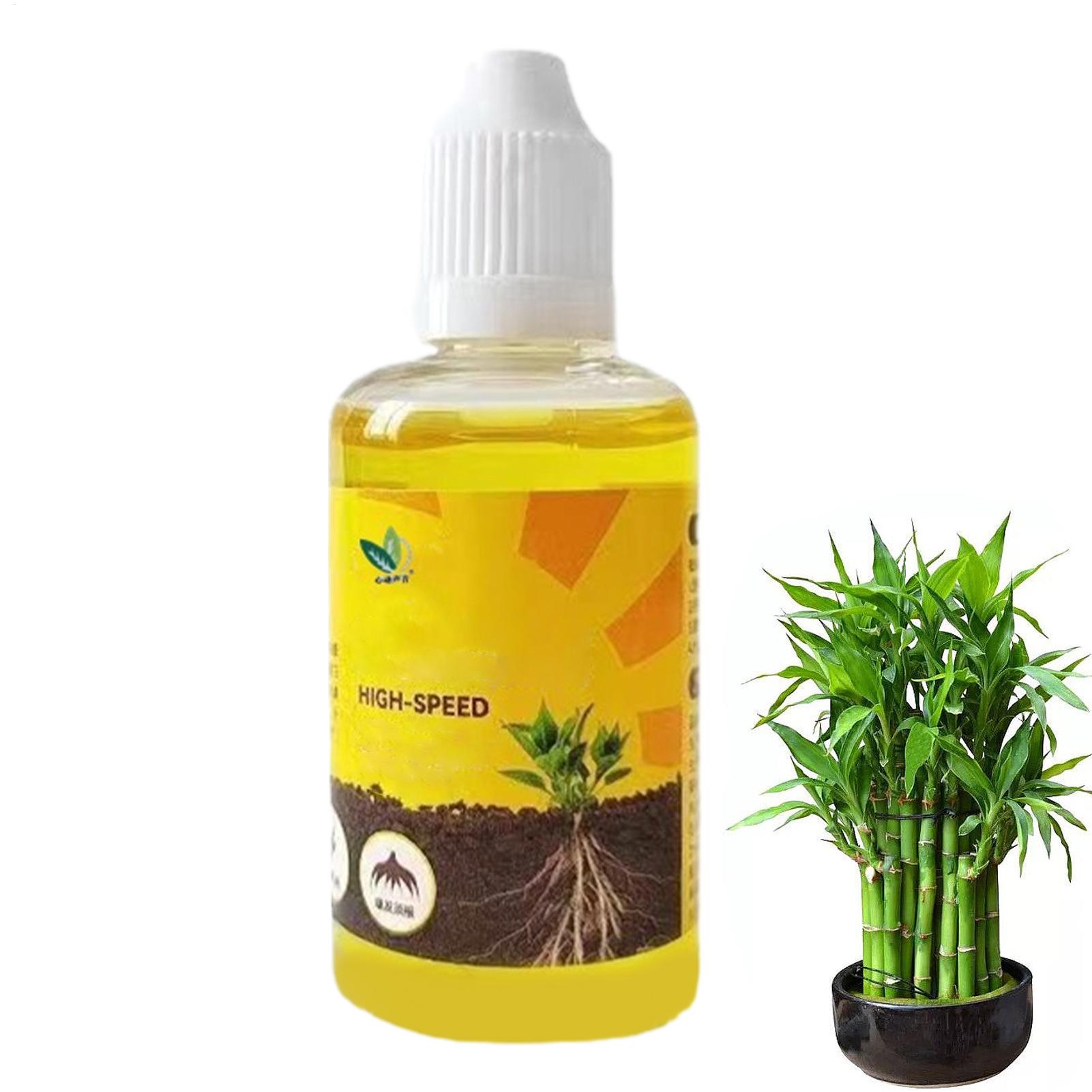 Root Stimulator Liquid - 식물 발근 촉진제, 식물 뿌리 강화제,