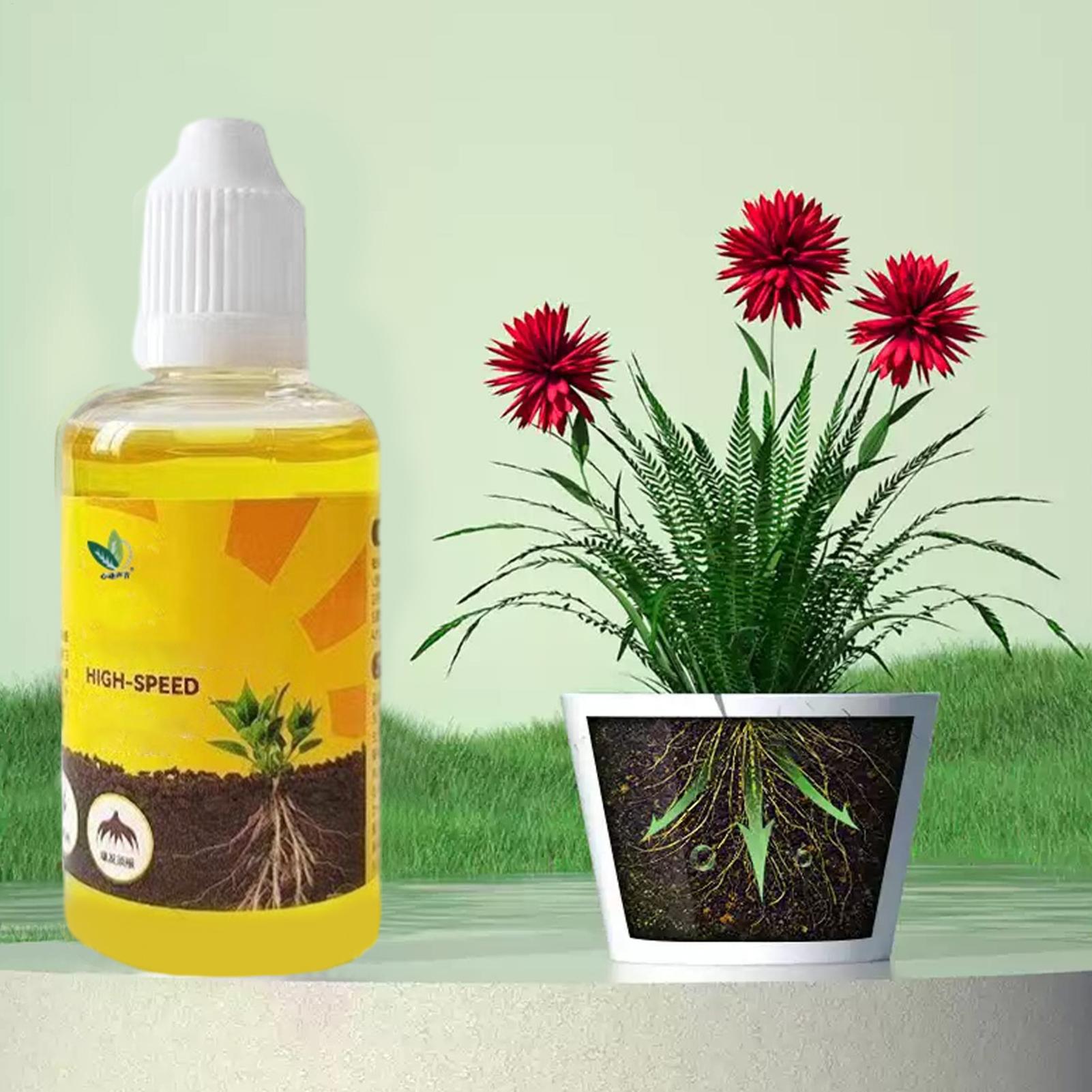 식물 발근 촉진제, 식물 뿌리 강화제, 발근 촉진 액체 - Root Stimulator Liquid 리뷰 및 가격