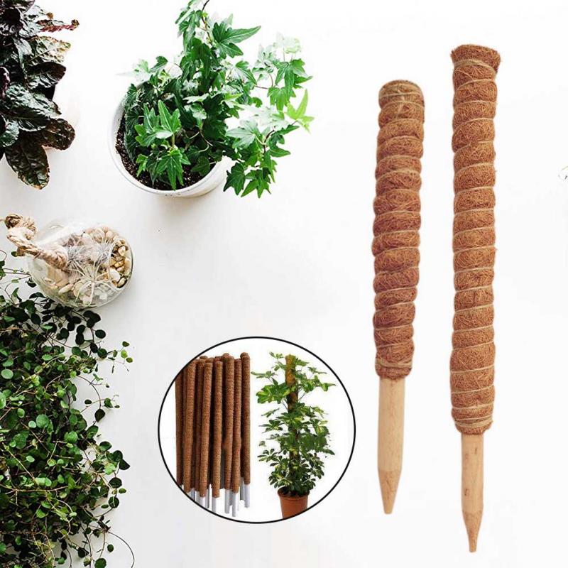 30/40/50cm 식물 등반 코코넛 토템 폴 안전한  - Sphagnum Moss Dry 리뷰 및 가격