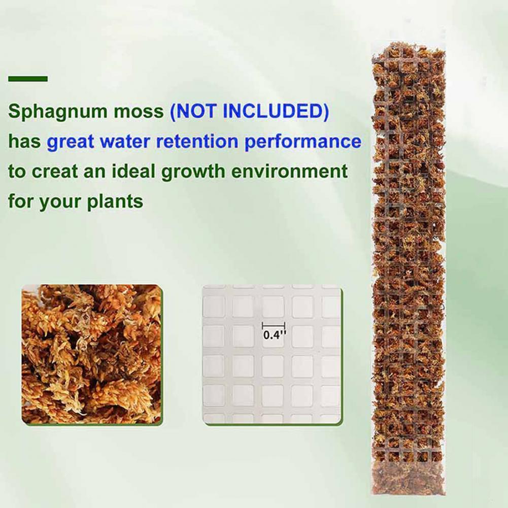 덩굴 식물용 지지대, 공중 뿌리 고정 장치, 덩굴 식물 - Sphagnum Moss Dry 리뷰 및 가격